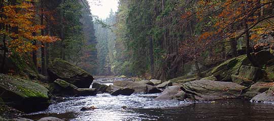 Zemská brána